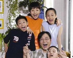 电视剧家有儿女,成长岁月中的欢乐与泪水